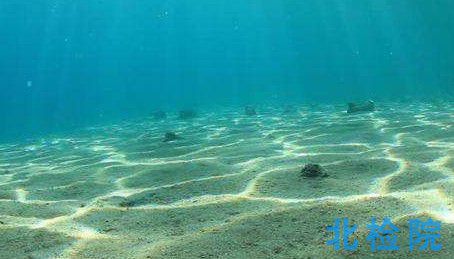 海洋沉積物化學測試