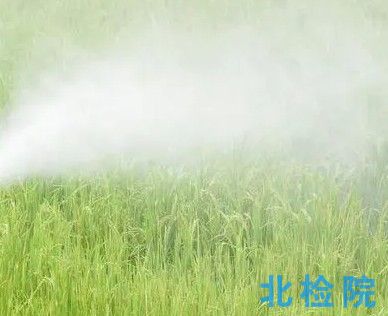 殺蟲劑測試