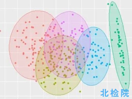 成分分析測試