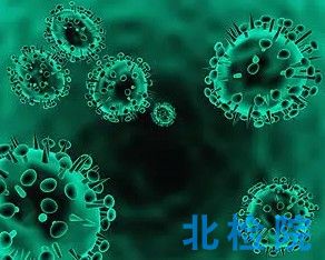 真菌毒素測試