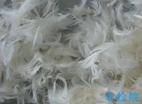 羽絨羽毛及其制品測試