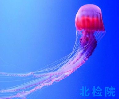 海洋生物測試