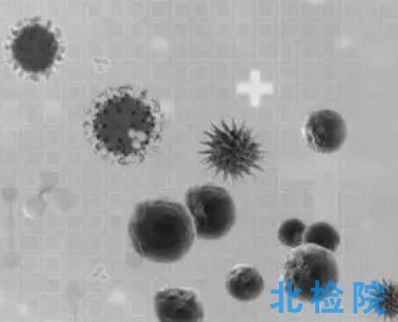 室內空氣質量測試
