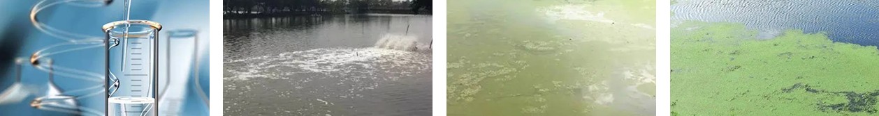 水質測試