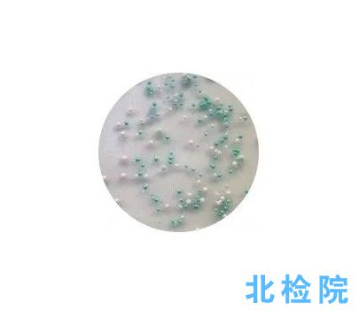 甘露醇高鹽瓊脂培養基測試