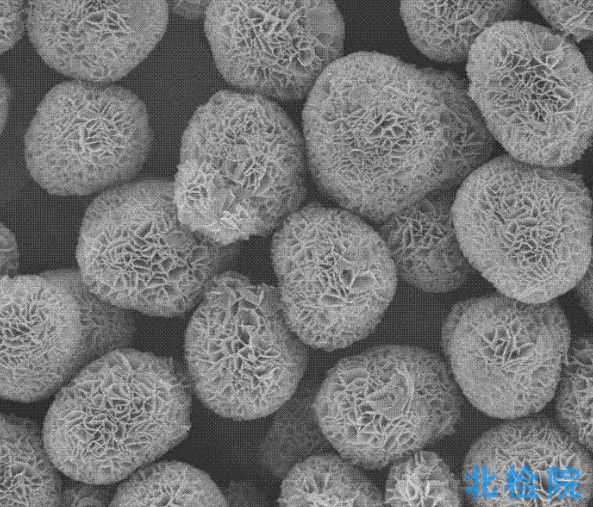 納米氫氧化鎂測試