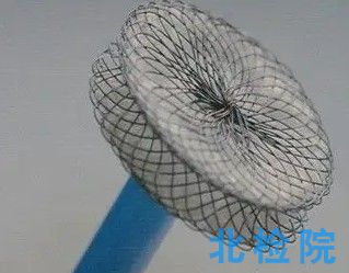 心臟封堵器測試