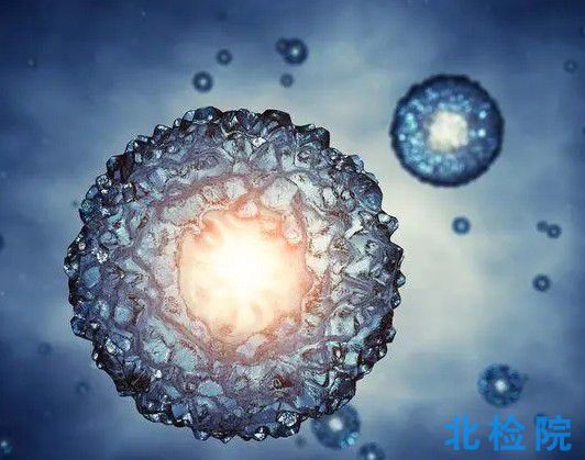 人體生物材料測試
