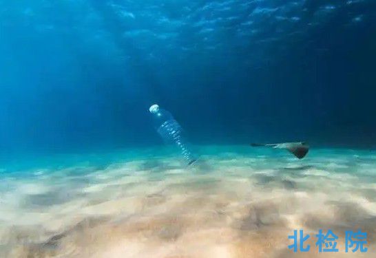 海洋生物調查測試