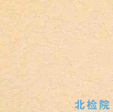 內墻硅藻涂料測試