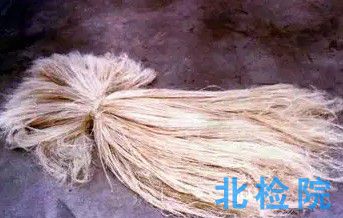纖維用亞麻原莖測試