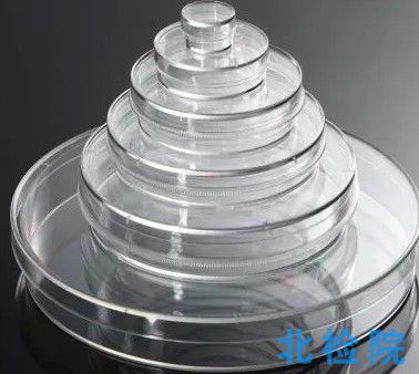 培養皿檢測