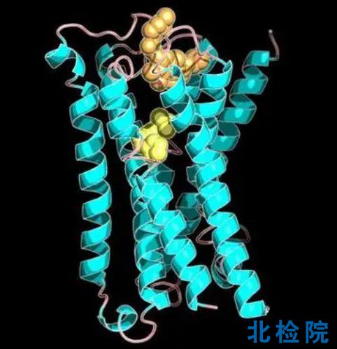 蛋白組學指標檢測