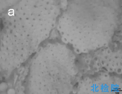 斷裂強力檢測