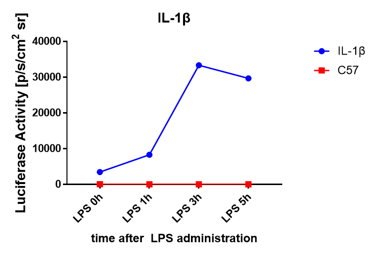 IL1B-2.png