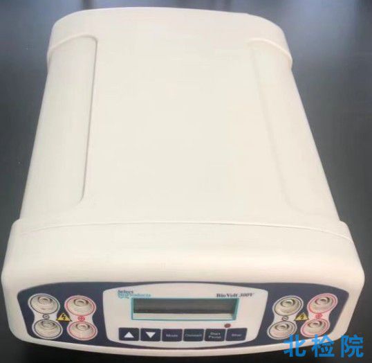 電泳儀