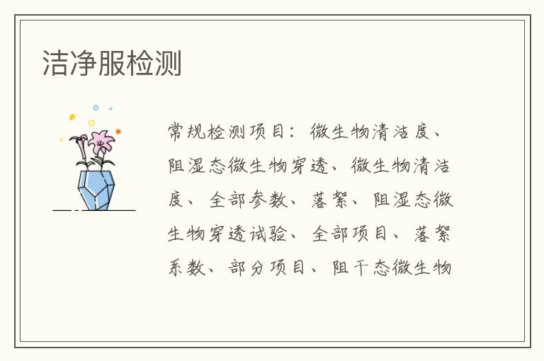 潔凈服