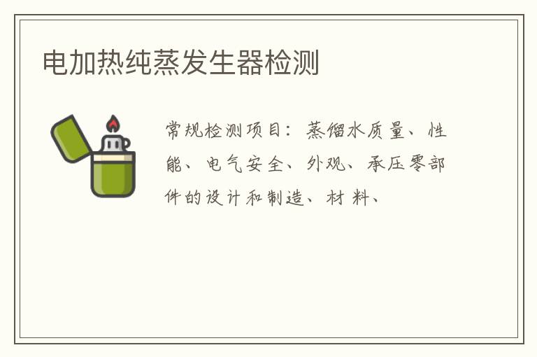 電加熱純蒸發生器