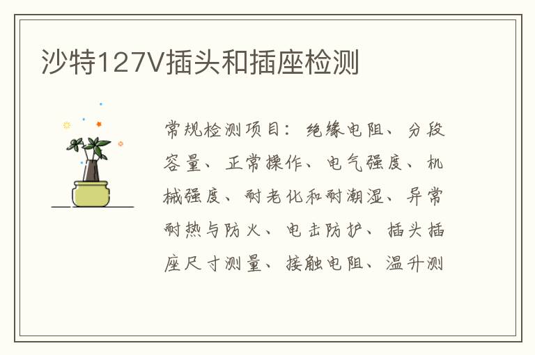 沙特127V插頭和插座