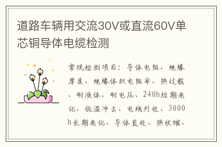 道路車輛用交流30V或直流60V單芯銅導體電纜