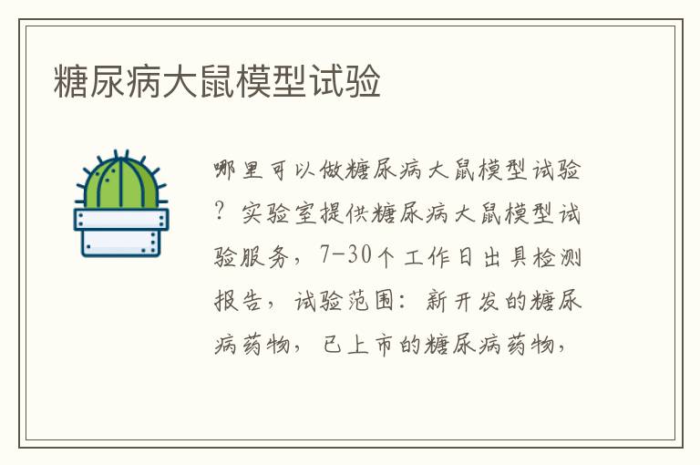糖尿病大鼠模型